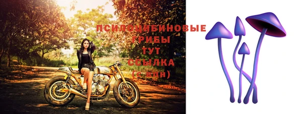 марихуана Баксан