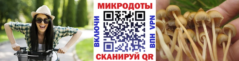 гидра маркетплейс  Усть-Илимск  Псилоцибиновые грибы Cubensis 